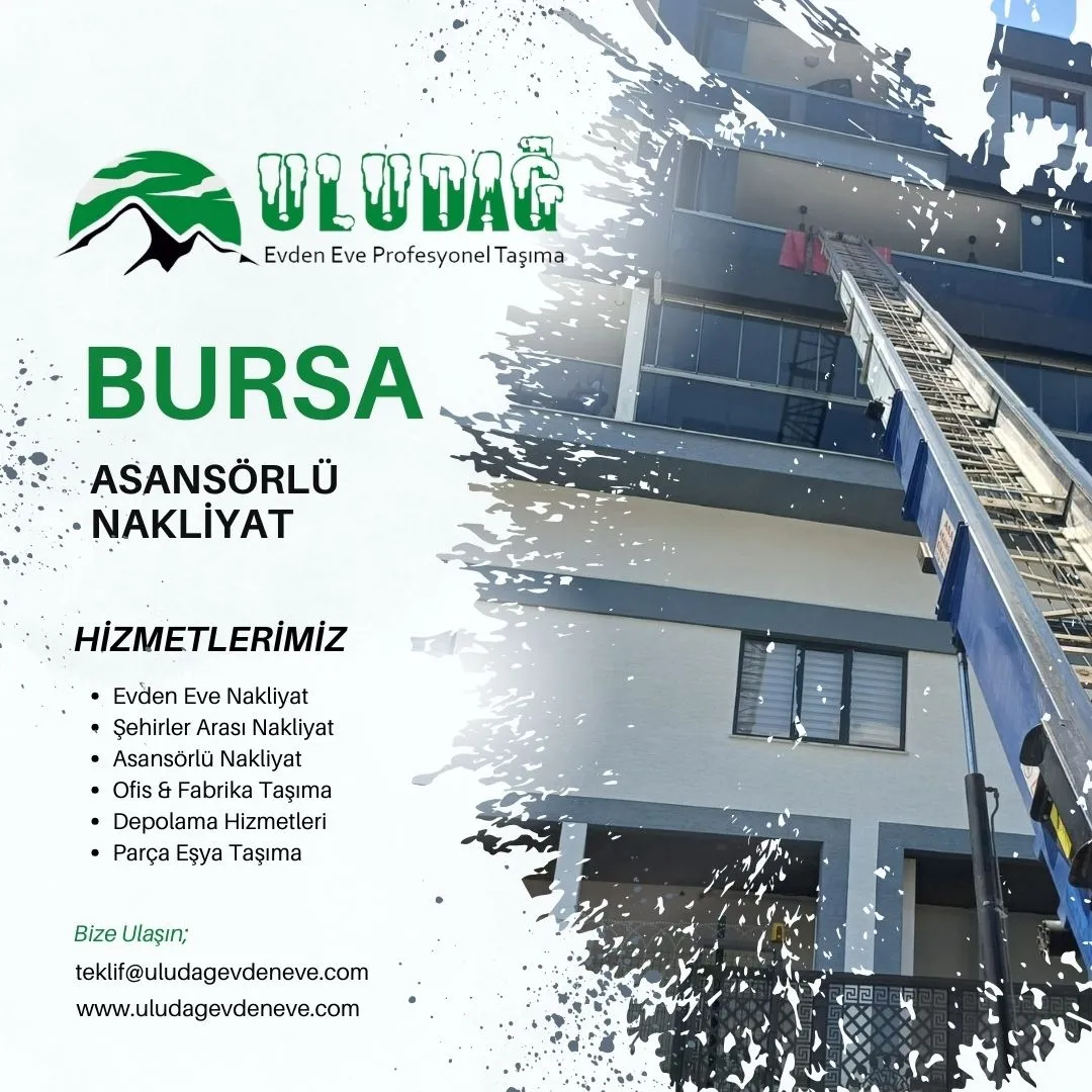 Gemlik Asansörlü Nakliyat